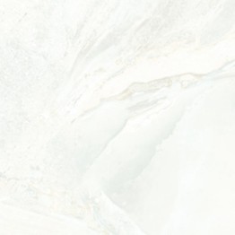 Gạch lát sàn Trường Thịnh SIMPLICITY TT6601